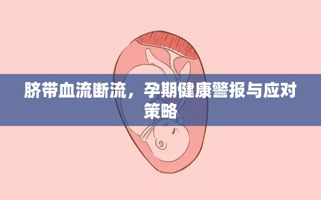 臍帶血流斷流，孕期健康警報(bào)與應(yīng)對(duì)策略