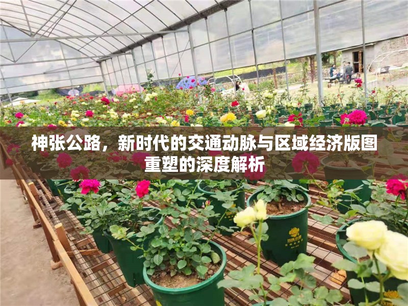 神張公路，新時代的交通動脈與區(qū)域經(jīng)濟版圖重塑的深度解析