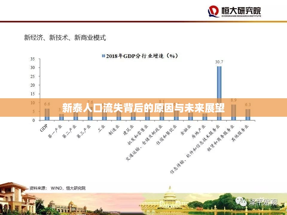 新泰人口流失背后的原因與未來展望