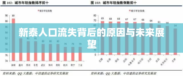 新泰人口流失背后的原因與未來展望