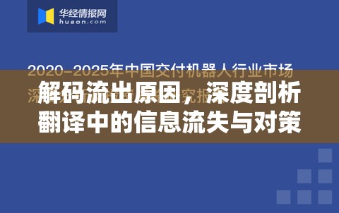 解碼流出原因，深度剖析翻譯中的信息流失與對策