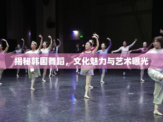 揭秘韓國舞蹈，文化魅力與藝術(shù)曝光