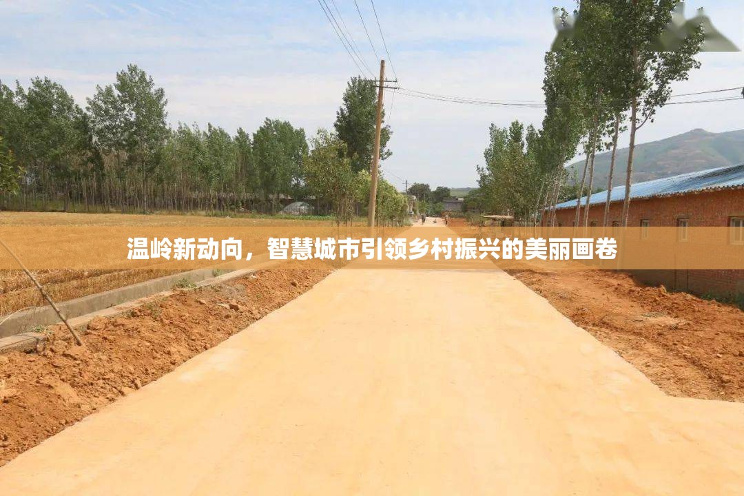 溫嶺新動(dòng)向，智慧城市引領(lǐng)鄉(xiāng)村振興的美麗畫卷