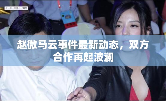趙微馬云事件最新動態(tài)，雙方合作再起波瀾