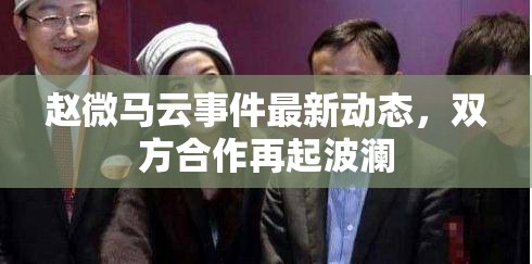 趙微馬云事件最新動態(tài)，雙方合作再起波瀾