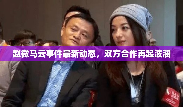 趙微馬云事件最新動態(tài)，雙方合作再起波瀾