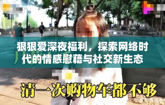 狠狠愛深夜福利，探索網絡時代的情感慰藉與社交新生態(tài)
