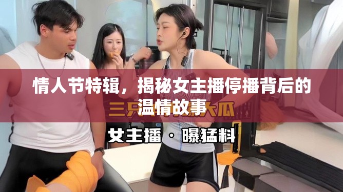 情人節(jié)特輯，揭秘女主播停播背后的溫情故事
