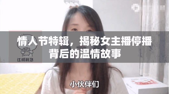 情人節(jié)特輯，揭秘女主播停播背后的溫情故事