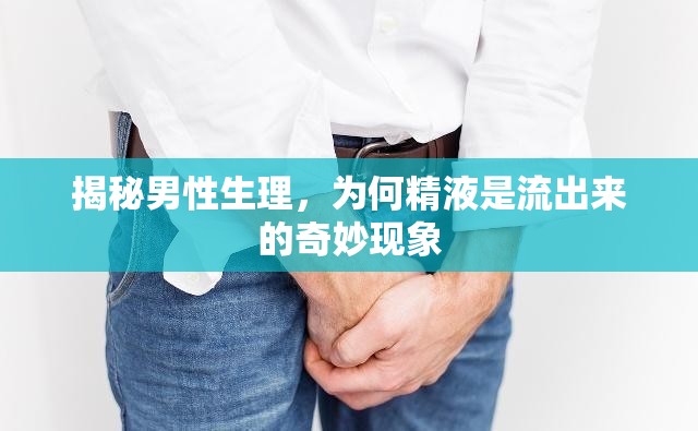 揭秘男性生理，為何精液是流出來(lái)的奇妙現(xiàn)象