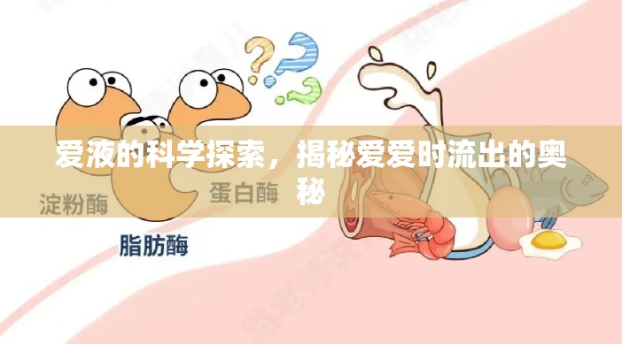 愛(ài)液的科學(xué)探索，揭秘愛(ài)愛(ài)時(shí)流出的奧秘