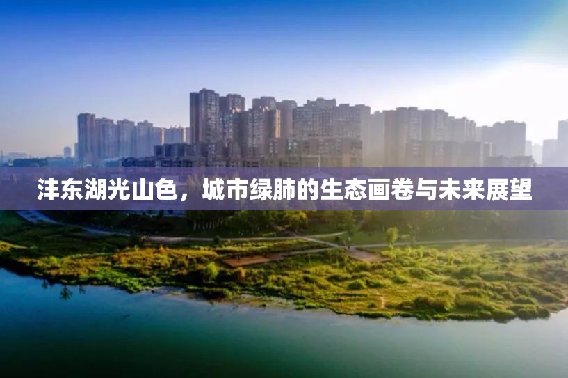灃東湖光山色，城市綠肺的生態(tài)畫(huà)卷與未來(lái)展望