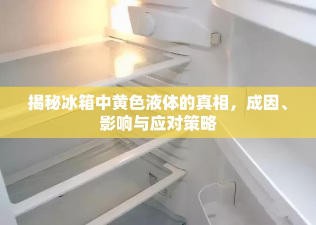 揭秘冰箱中黃色液體的真相，成因、影響與應(yīng)對(duì)策略