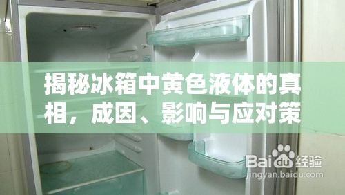 揭秘冰箱中黃色液體的真相，成因、影響與應(yīng)對(duì)策略