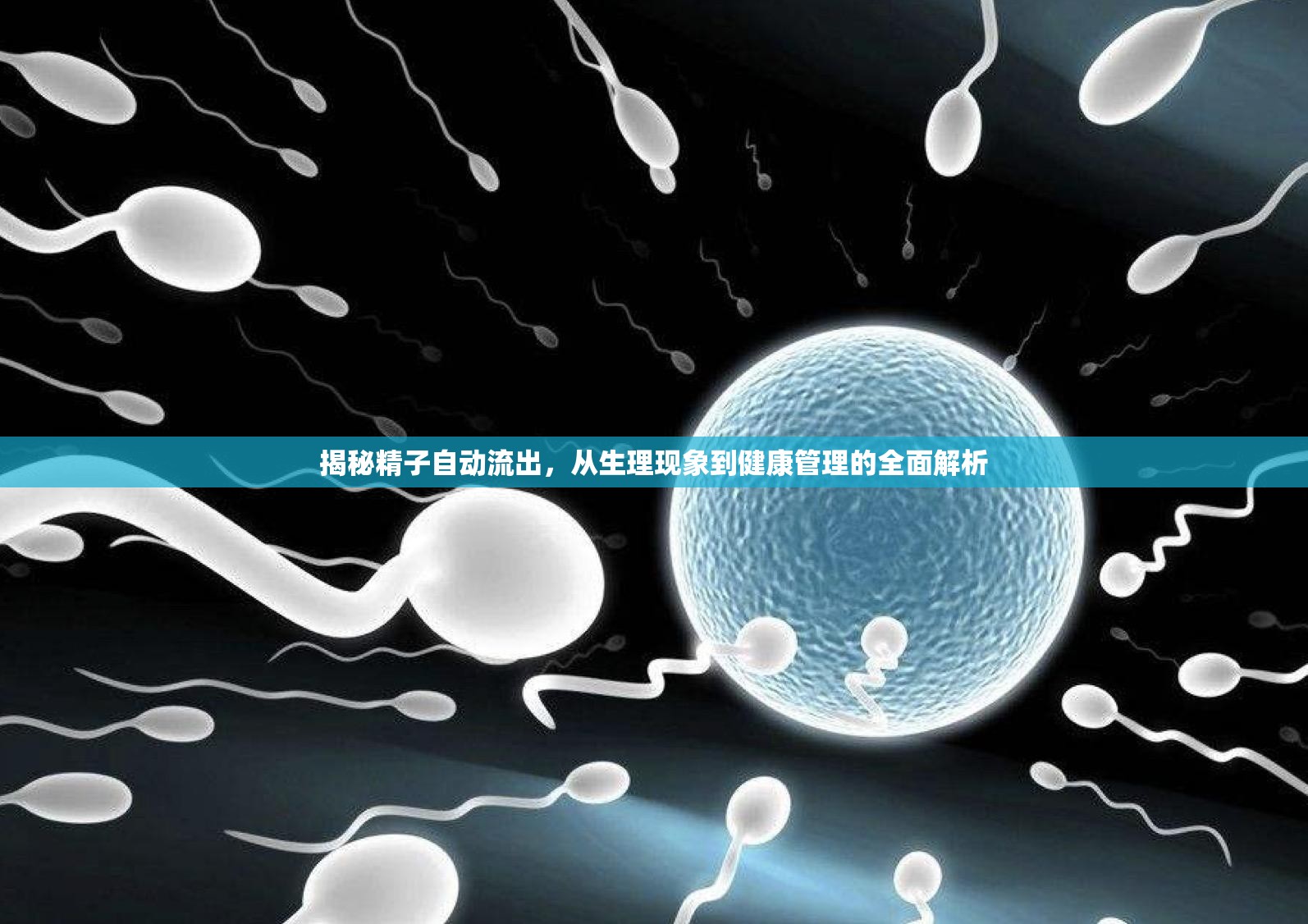 揭秘精子自動(dòng)流出，從生理現(xiàn)象到健康管理的全面解析