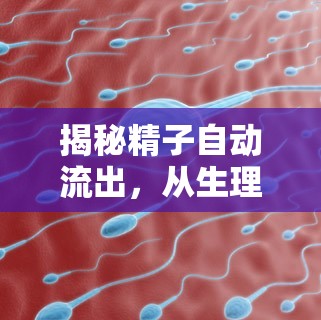 揭秘精子自動(dòng)流出，從生理現(xiàn)象到健康管理的全面解析