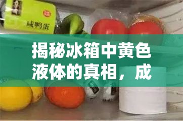 揭秘冰箱中黃色液體的真相，成因、影響與應(yīng)對(duì)策略