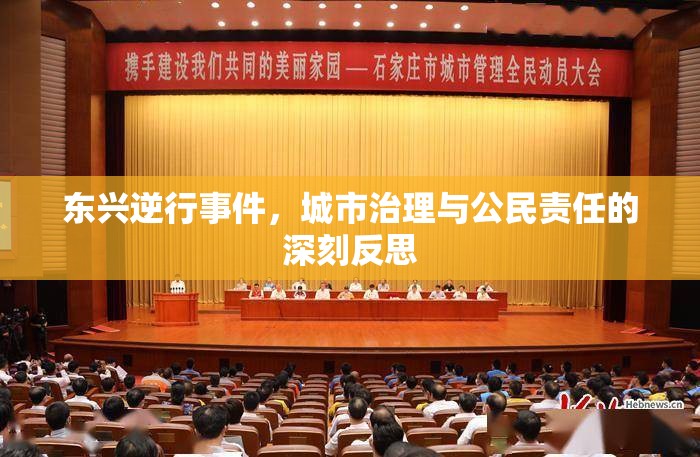 東興逆行事件，城市治理與公民責(zé)任的深刻反思