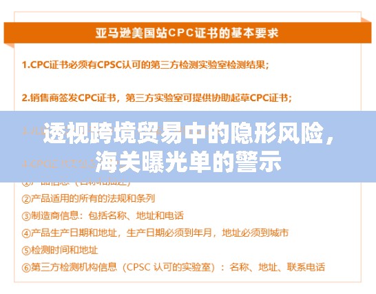 透視跨境貿(mào)易中的隱形風(fēng)險(xiǎn)，海關(guān)曝光單的警示