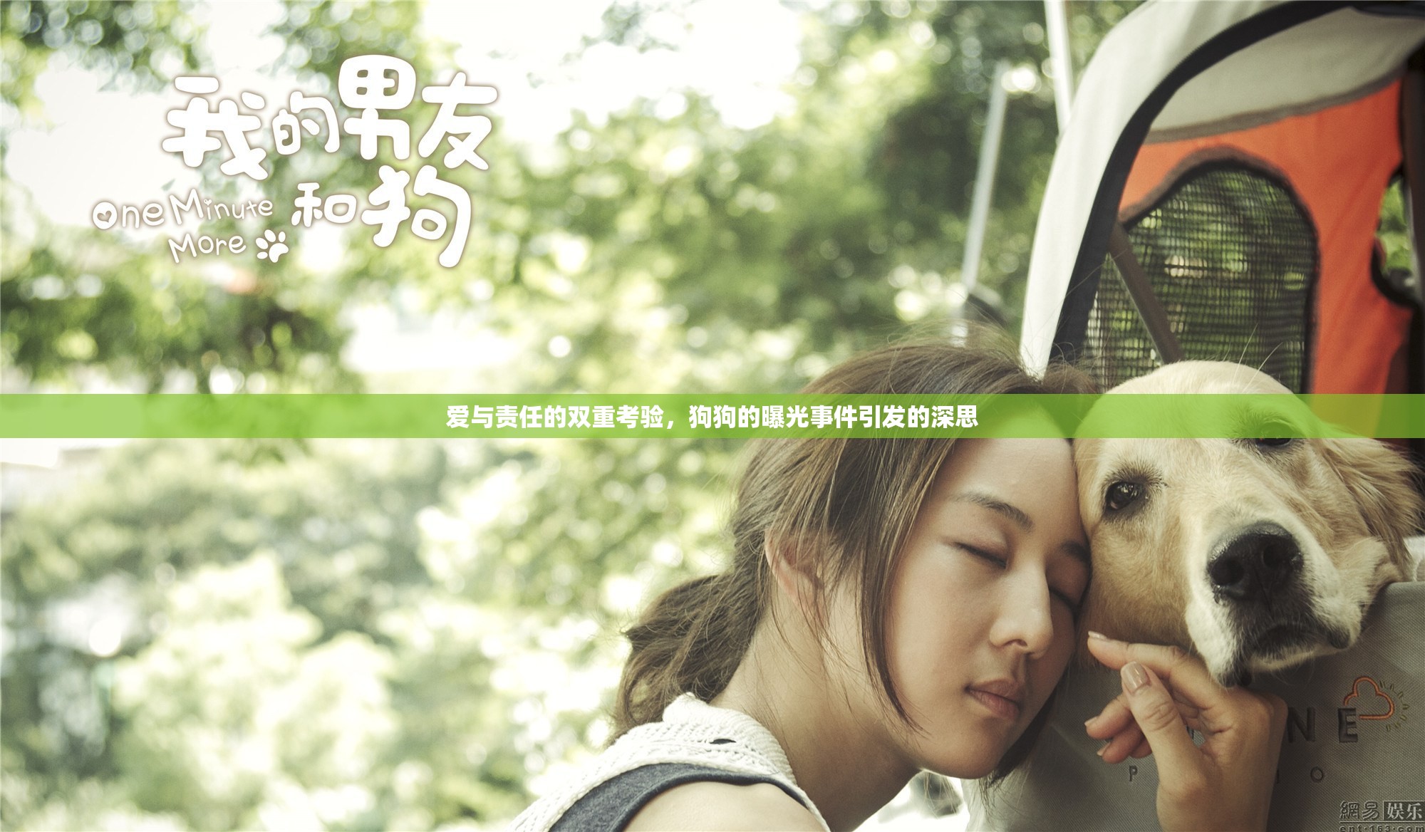愛(ài)與責(zé)任的雙重考驗(yàn)，狗狗的曝光事件引發(fā)的深思