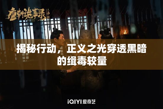 揭秘行動(dòng)，正義之光穿透黑暗的緝毒較量