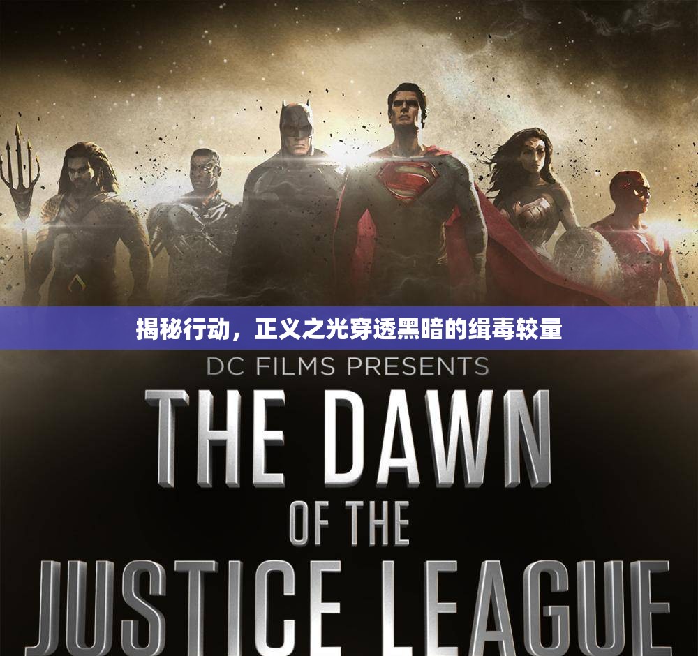 揭秘行動(dòng)，正義之光穿透黑暗的緝毒較量
