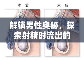解鎖男性奧秘，探索射精時(shí)流出的奇妙體驗(yàn)