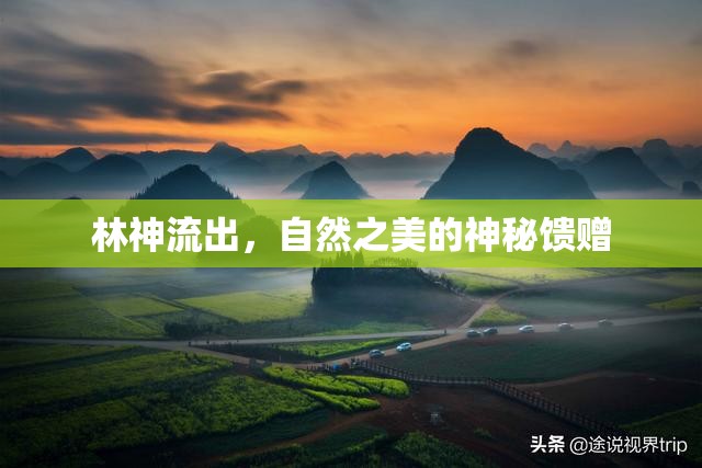 林神流出，自然之美的神秘饋贈