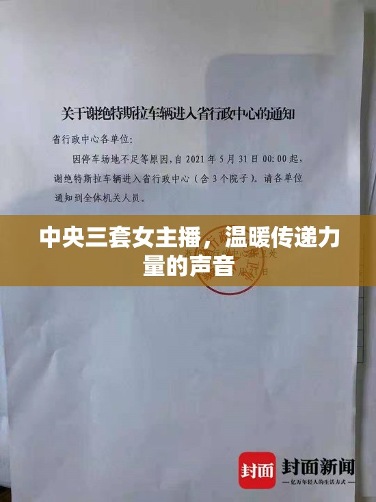 中央三套女主播，溫暖傳遞力量的聲音