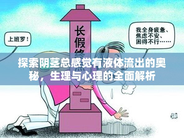 探索陰莖總感覺有液體流出的奧秘，生理與心理的全面解析
