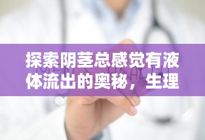 探索陰莖總感覺有液體流出的奧秘，生理與心理的全面解析