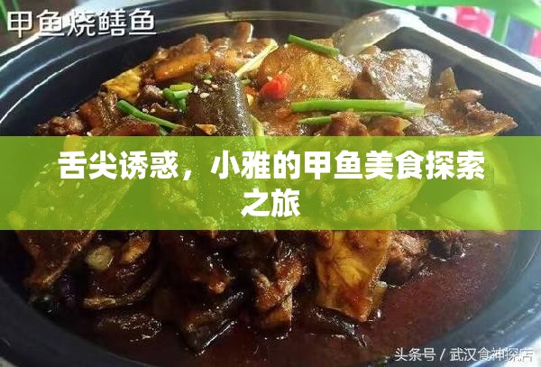 舌尖誘惑，小雅的甲魚美食探索之旅