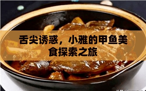 舌尖誘惑，小雅的甲魚美食探索之旅
