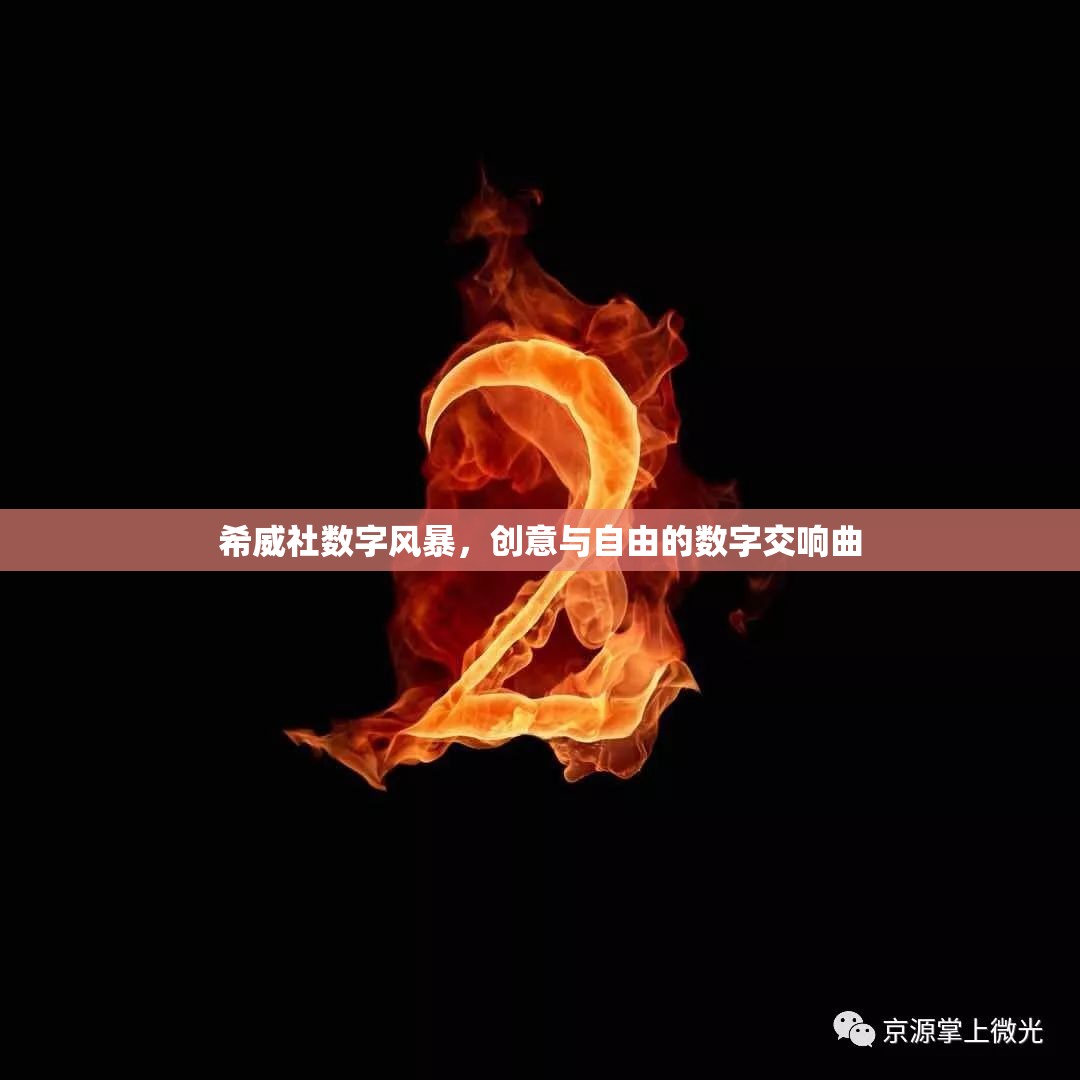 希威社數(shù)字風(fēng)暴，創(chuàng)意與自由的數(shù)字交響曲