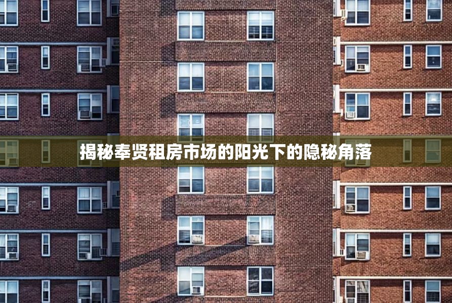 揭秘奉賢租房市場(chǎng)的陽(yáng)光下的隱秘角落