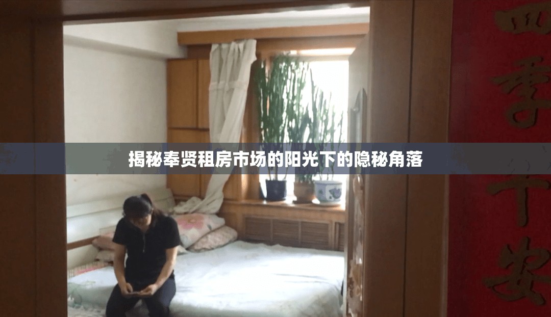揭秘奉賢租房市場(chǎng)的陽(yáng)光下的隱秘角落