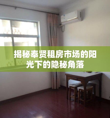 揭秘奉賢租房市場(chǎng)的陽(yáng)光下的隱秘角落