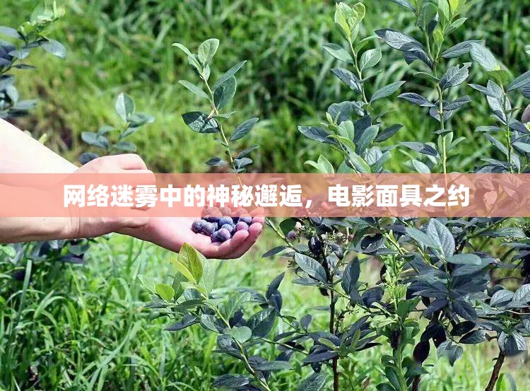 網(wǎng)絡(luò)迷霧中的神秘邂逅，電影面具之約