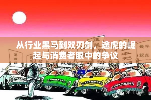 從行業(yè)黑馬到雙刃劍，途虎的崛起與消費者眼中的爭議