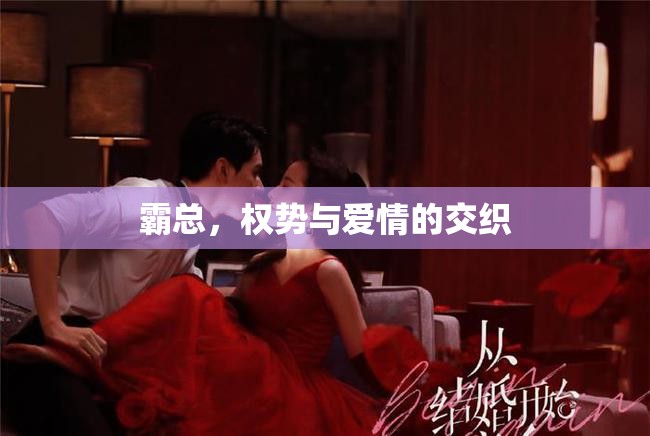 霸總，權勢與愛情的交織