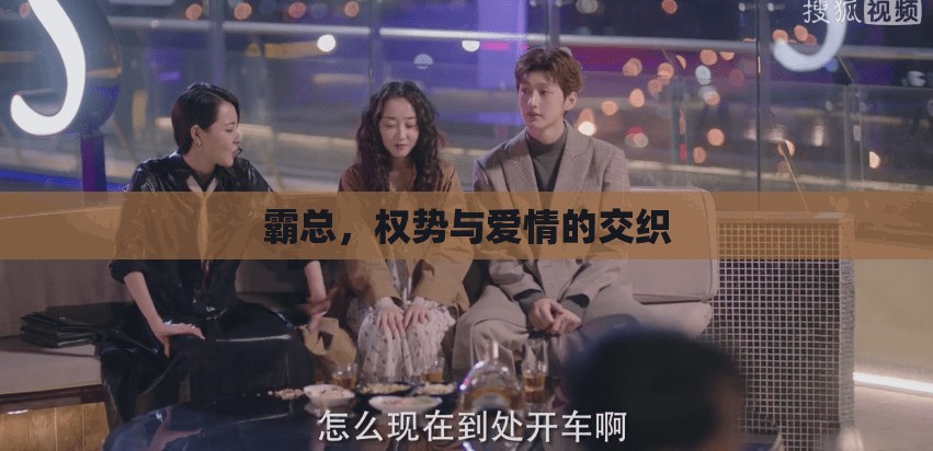 霸總，權勢與愛情的交織
