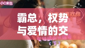 霸總，權勢與愛情的交織