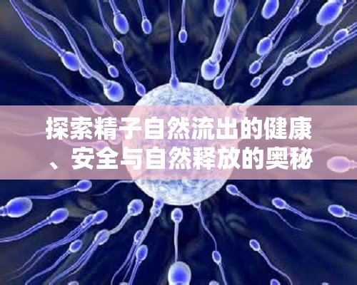 探索精子自然流出的健康、安全與自然釋放的奧秘
