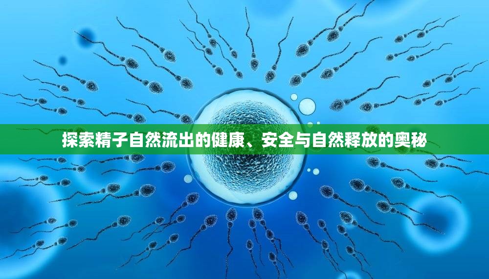 探索精子自然流出的健康、安全與自然釋放的奧秘