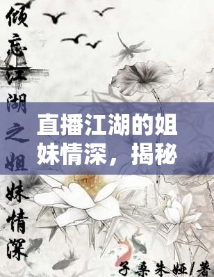 直播江湖的姐妹情深，揭秘女主播背后的深厚情誼