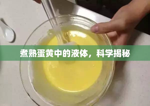 煮熟蛋黃中的液體，科學(xué)揭秘