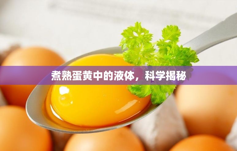 煮熟蛋黃中的液體，科學(xué)揭秘