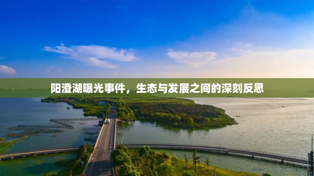 陽澄湖曝光事件，生態(tài)與發(fā)展之間的深刻反思