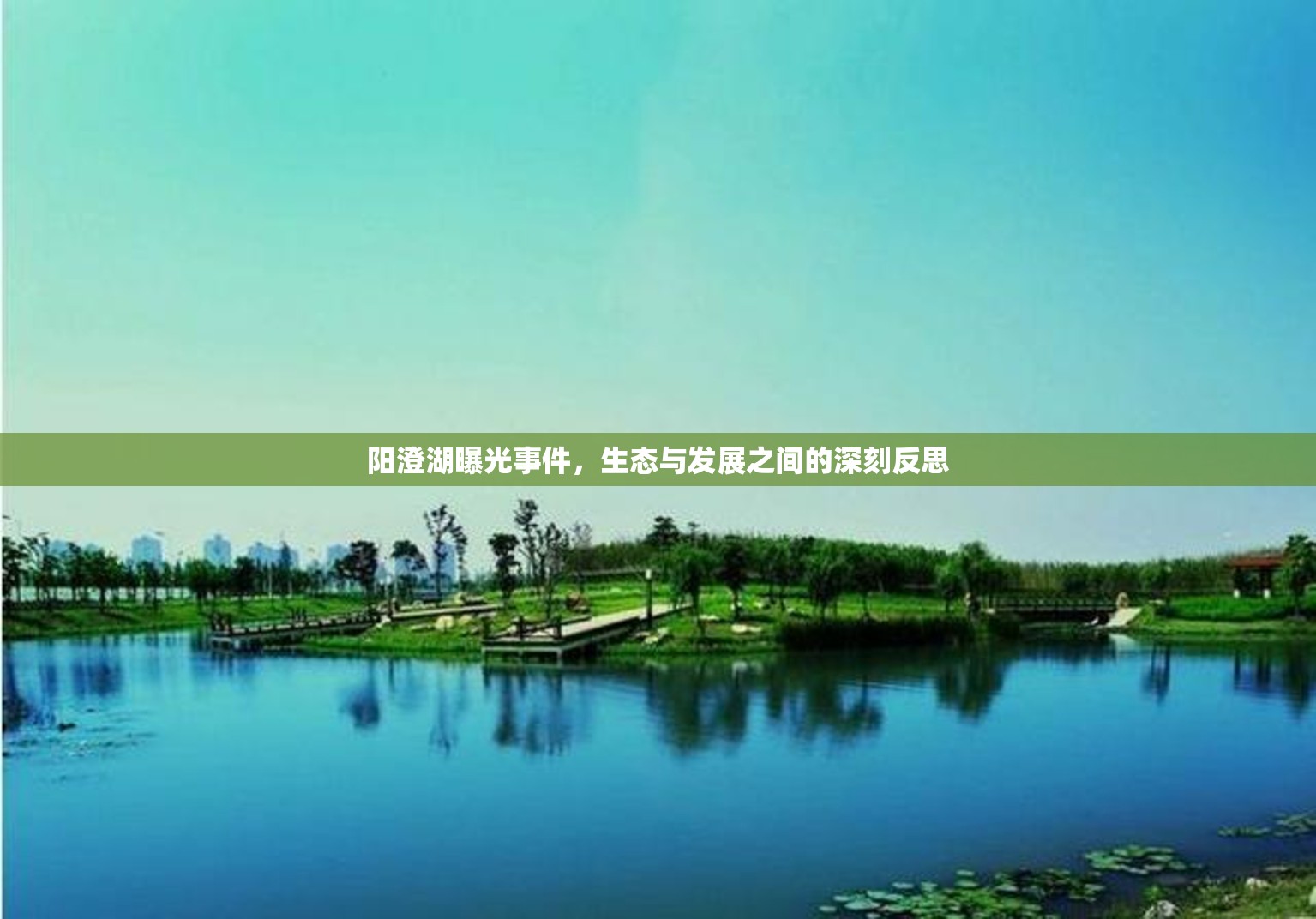 陽澄湖曝光事件，生態(tài)與發(fā)展之間的深刻反思