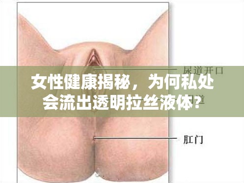 女性健康揭秘，為何私處會(huì)流出透明拉絲液體？